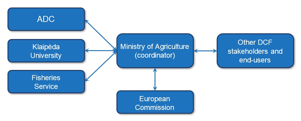 Scheme of institutions participating in the DCF project