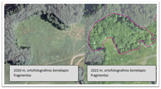 Ortofotografinio žemėlapio fragmentai