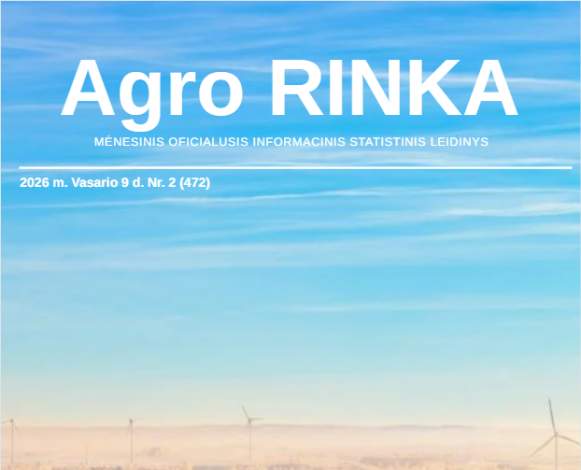 Giedras ir žydras žiemos dangus